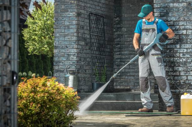 Best Building Exterior Washing  in Grayvle, IL